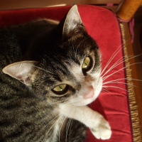 Photo de profil de Chance