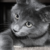 Photo de profil de Léo