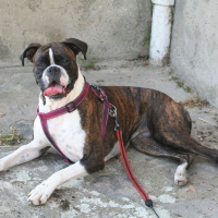 Photo de profil de Babou
