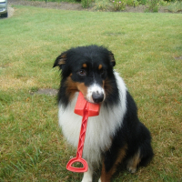 Photo de profil de Démon