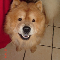 Photo de profil de Alto