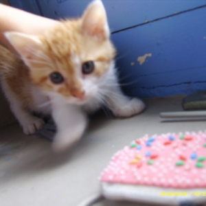 Photo de profil de Oliver