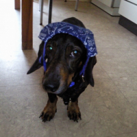 Photo de profil de Léo