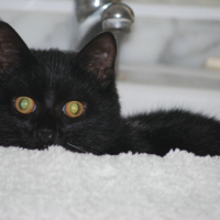 Photo de profil de Ernest