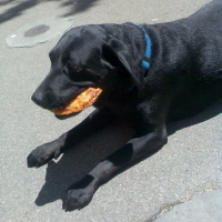 Photo de profil de Sally