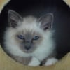 Photo de Scratch