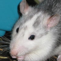 Photo de profil de Bianca
