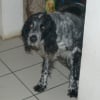 Photo de Orianne