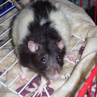 Photo de profil de Stuart