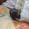Photo de Crunch