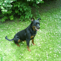 Photo de profil de Tina