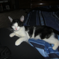 Photo de profil de Gudule