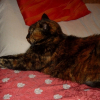 Photo de Mimi