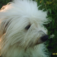 Photo de profil de Rustine