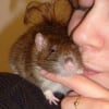 Photo de Melkior