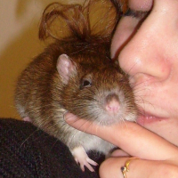 Photo de profil de Melkior