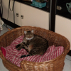 Photo de Fanette