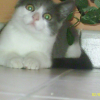 Photo de Canabis