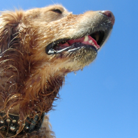 Photo de profil de Léonie