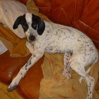 Photo de profil de Eros