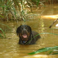 Photo de profil de Paco