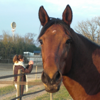 Photo de profil de Havane