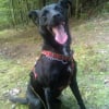 Photo de Louna
