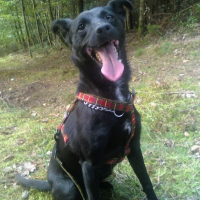 Photo de profil de Louna