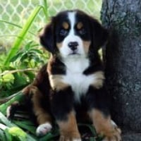 Photo de profil de Leonne