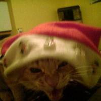 Photo de profil de Rouky