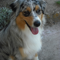 Photo de profil de Danaé