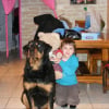 Photo de Tom, Rottweiler