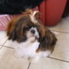Photo de Khalynne