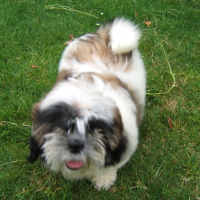 Photo de profil de Maya