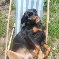 Photo de profil de Macha