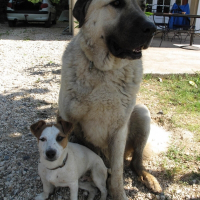 Photo de profil de Louna