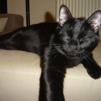 Photo de profil de Blaky