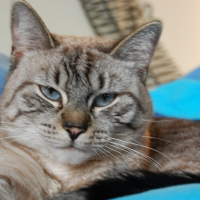 Photo de profil de Doriane