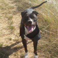 Photo de profil de Alpha