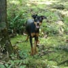 Photo de Daully