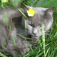 Photo de profil de Léo