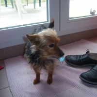 Photo de profil de Prisca