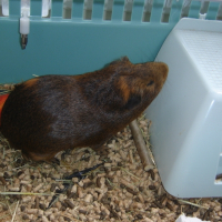 Photo de profil de Olympe