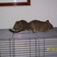 Photo de profil de Ben et nuts