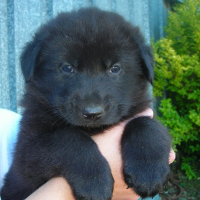 Photo de profil de Lucky