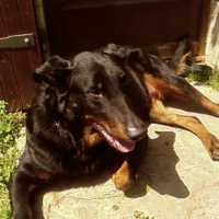 Photo de profil de Kayna