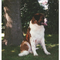 Photo de profil de Oliver