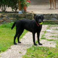 Photo de profil de Déhlia