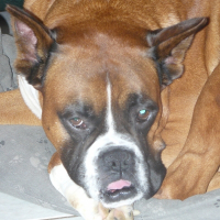 Photo de profil de Titeuf
