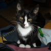 Photo de Jazz